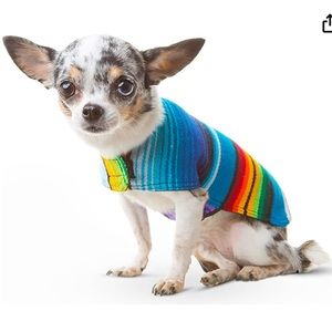 Doggie Mexican poncho & hat!!!